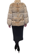 Load image into Gallery viewer, Horizontal Lynx Jacket 2025 Collection